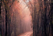 U20水球亚锦赛 我国男队憾负哈萨克斯坦无缘铜牌.