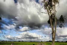 pg国际官网：亚冬会期间，中国运动员表现出色，收获丰硕.