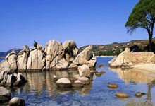 英超：切尔西击退狼队.